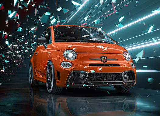 ANIMA COMPETIZIONE