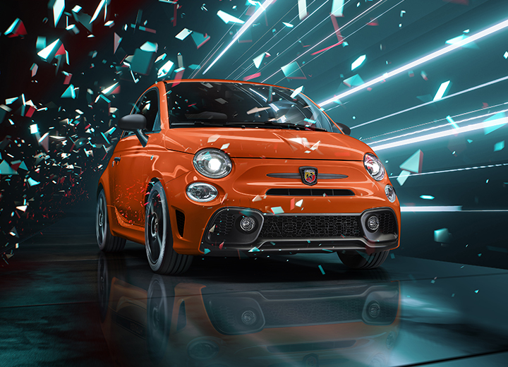 ANIMA COMPETIZIONE